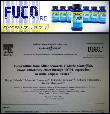 FUCO PURE 90 CAPSULES